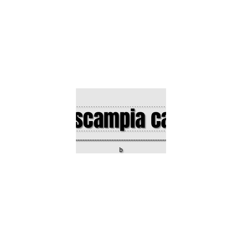 Découpe de lettres : "La scampia café "