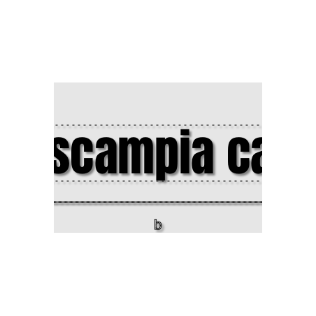 Découpe de lettres : "La scampia café "