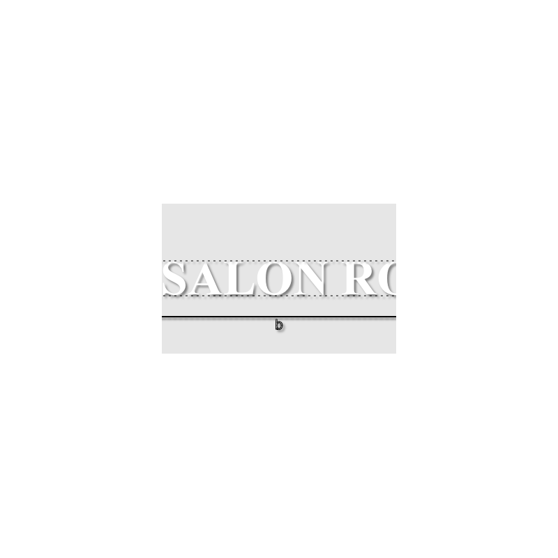 Découpe de lettres : "LE SALON ROSE"
