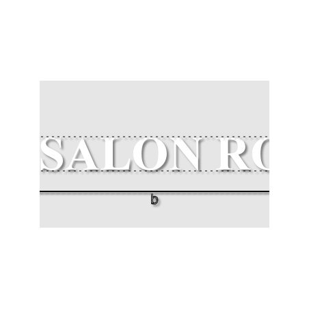 Découpe de lettres : "LE SALON ROSE"
