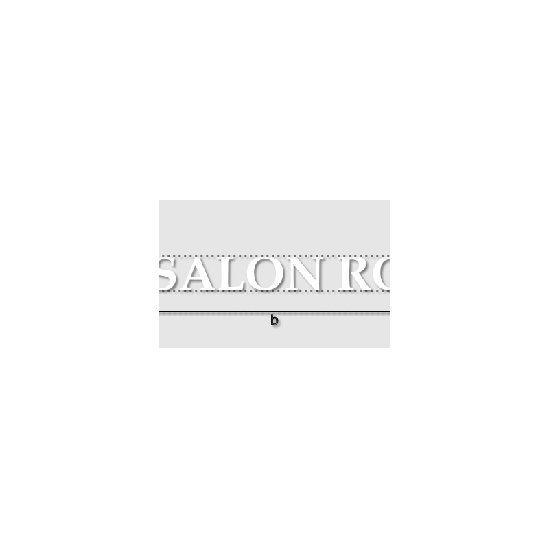 Découpe de lettres : "LE SALON ROSE"