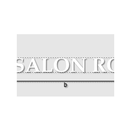 Découpe de lettres : "LE SALON ROSE"