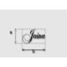 Découpe de lettres : "Jaina"