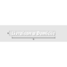 Découpe de lettres : "Livraison a Domicile"
