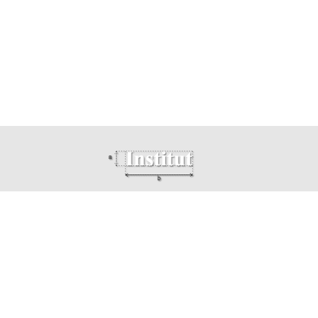 Découpe de lettres : "Institut"