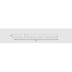 Découpe de lettres : "Les...