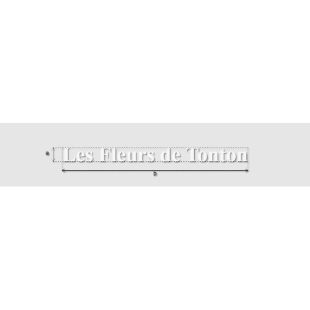 Découpe de lettres : "Les Fleurs de Tonton"
