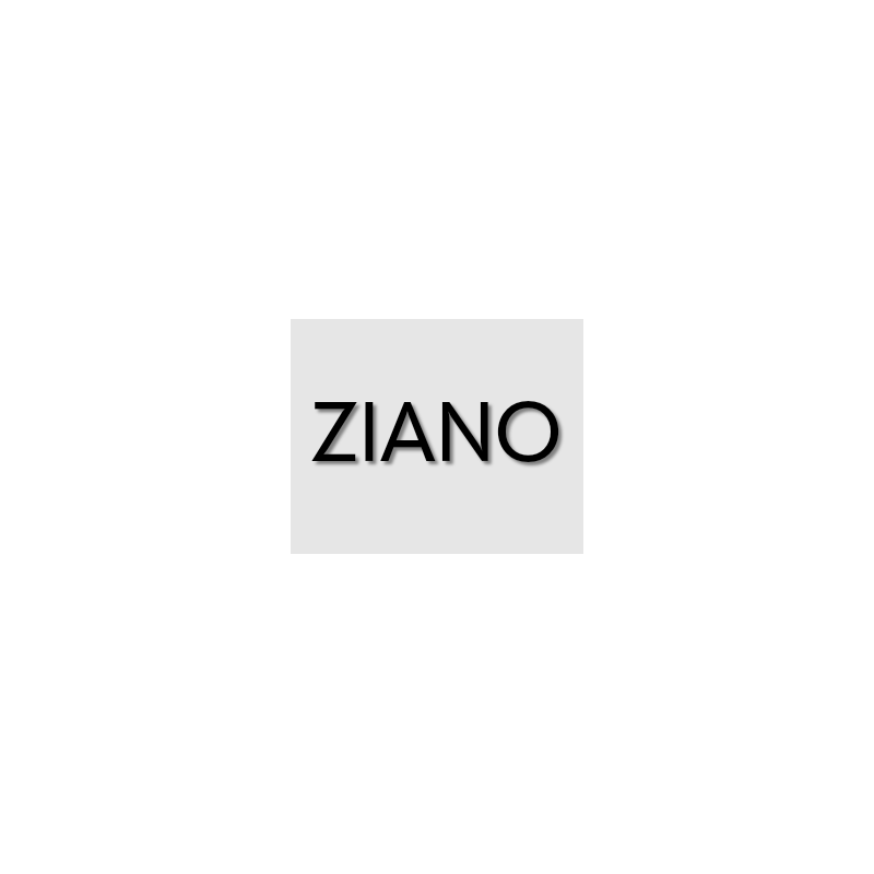 Découpe de lettres : "ZIANO"