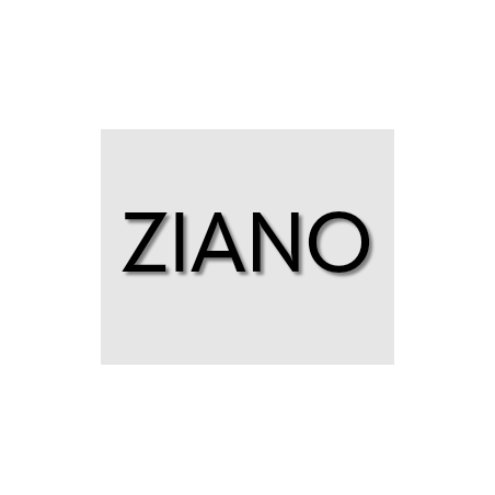 Découpe de lettres : "ZIANO"