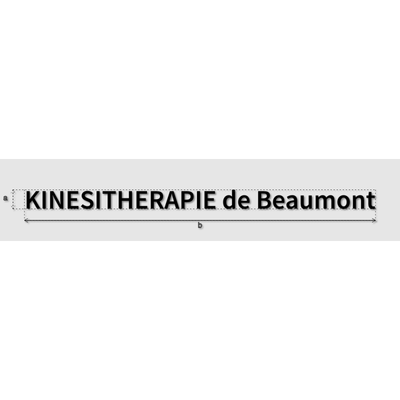 Découpe de lettres : "KINESITHERAPIE de Beaumont"