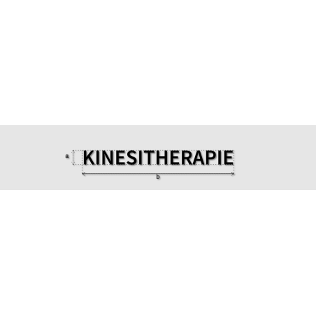Découpe de lettres : "KINESITHERAPIE"