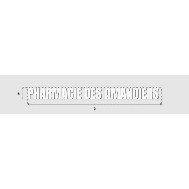 Découpe de lettres : "PHARMACIE DES AMANDIERS "