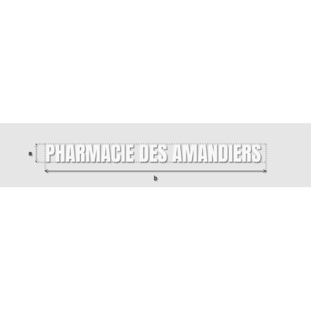 Découpe de lettres : "PHARMACIE DES AMANDIERS "