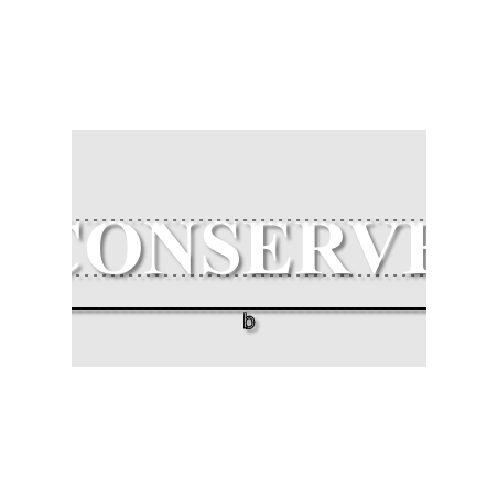 Découpe de lettres : "LA CONSERVERIE"