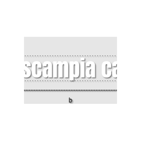 Découpe de lettres : "La scampia café "