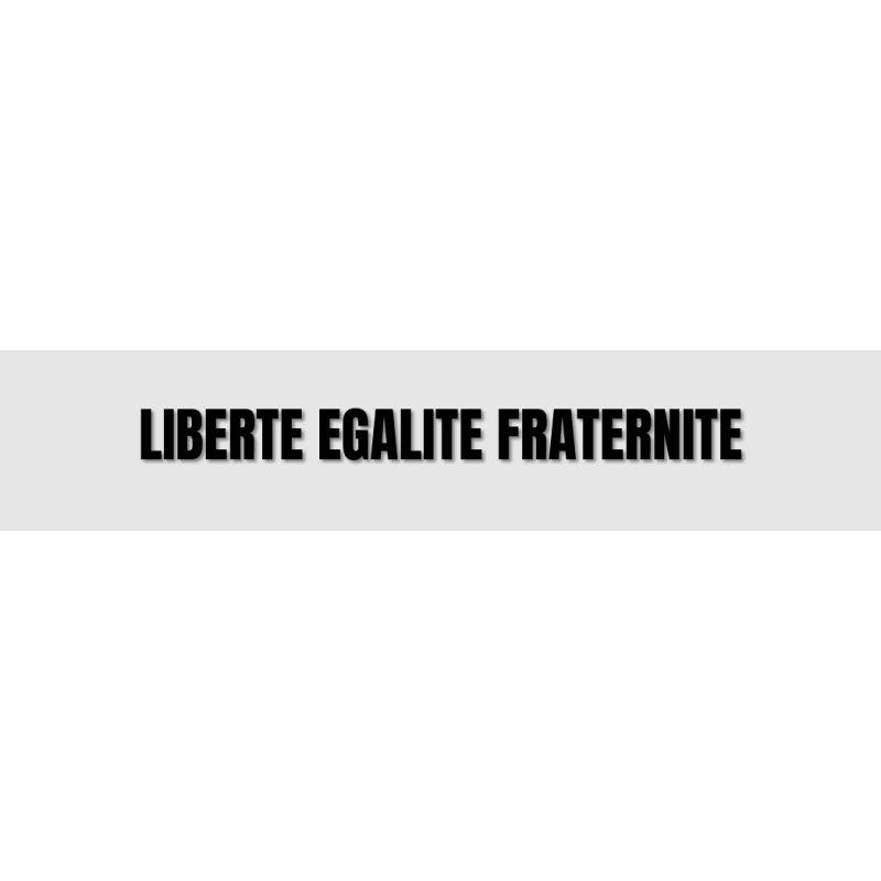Découpe de lettres : "LIBERTE EGALITE FRATERNITE"