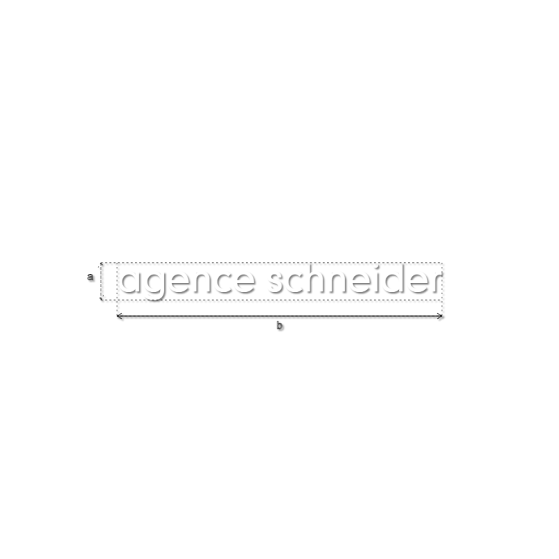 Découpe de lettres : "agence schneider"
