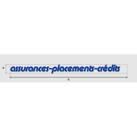 Découpe de lettres : "assurances-placements-crédits   "