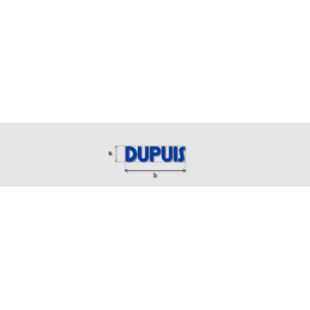 Découpe de lettres : "DUPUIS"