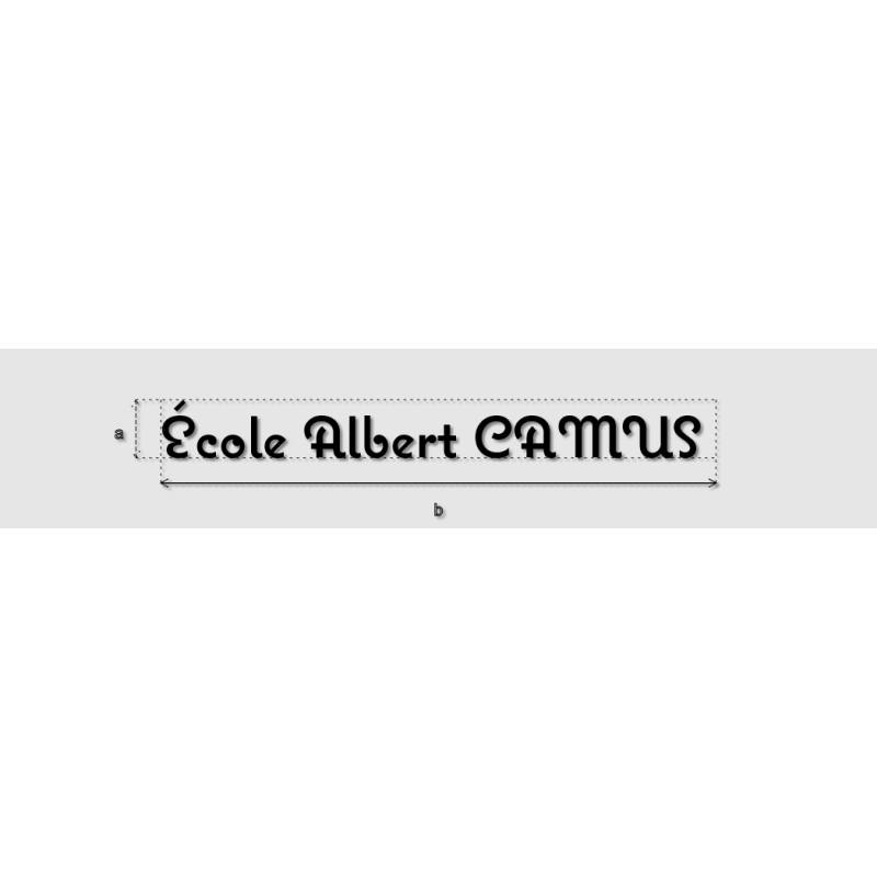 Découpe de lettres : "École Albert CAMUS "