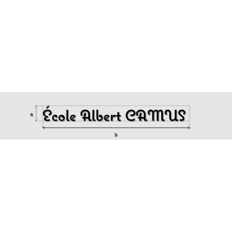 Découpe de lettres : "École Albert CAMUS "