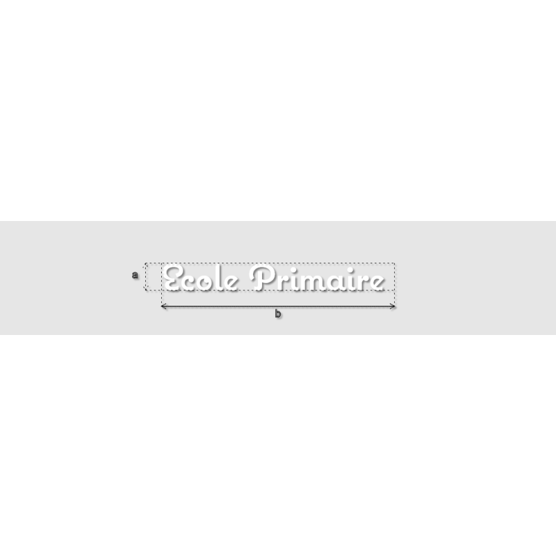 Découpe de lettres : "Ecole Primaire "