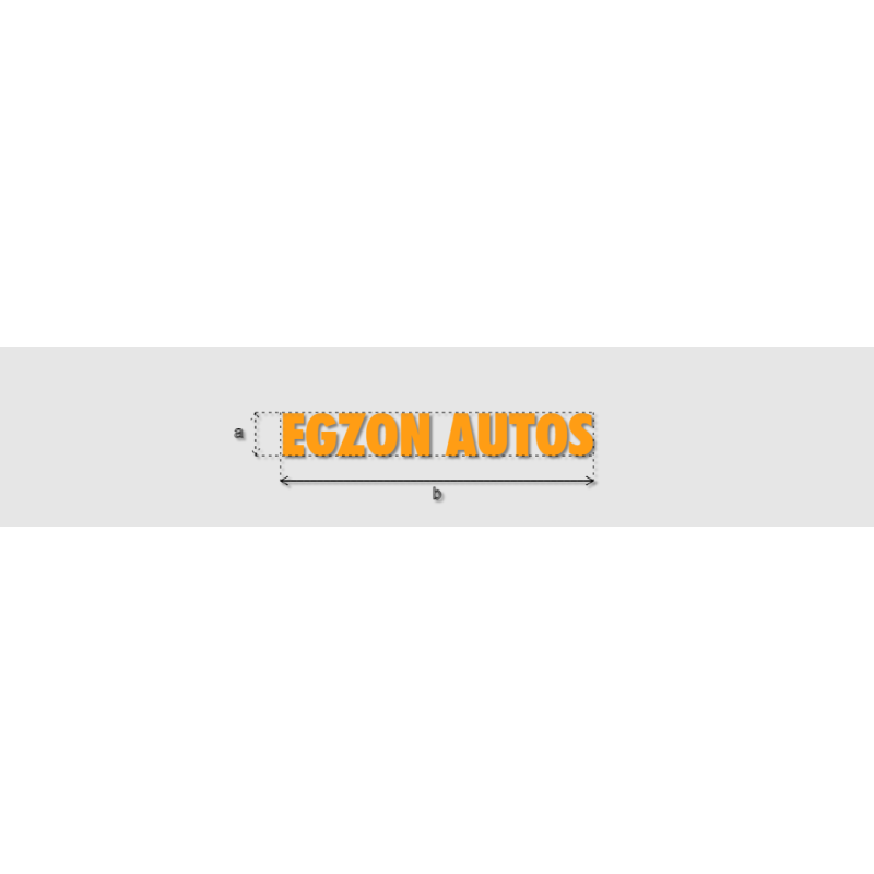 Découpe de lettres : "EGZON AUTOS"