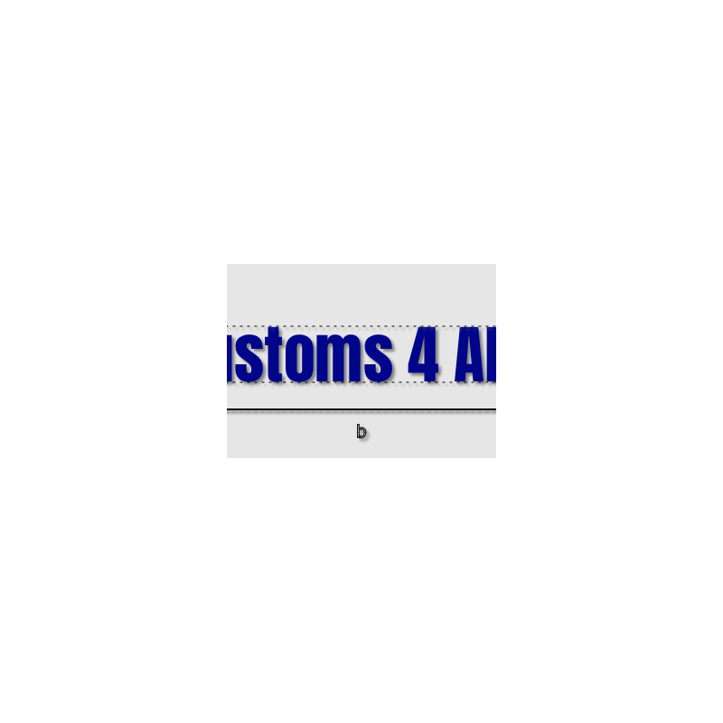 Découpe de lettres : "Customs 4 ALL "