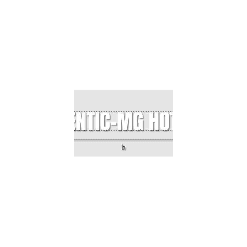 Découpe de lettres : "IDENTIC-MG HOTEL"