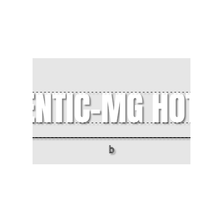 Découpe de lettres : "IDENTIC-MG HOTEL"