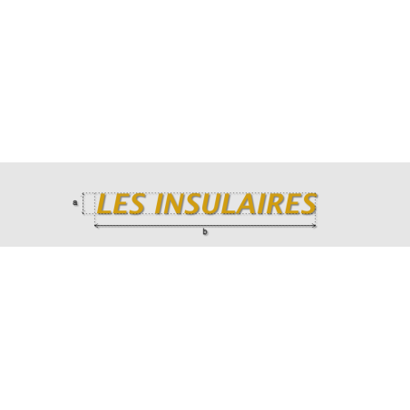 Découpe de lettres : "LES INSULAIRES"