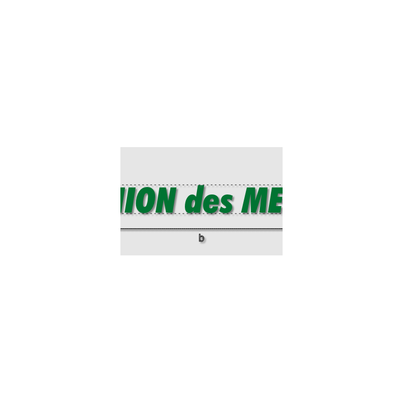 Découpe de lettres : "UNION des MECK"