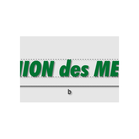 Découpe de lettres : "UNION des MECK"