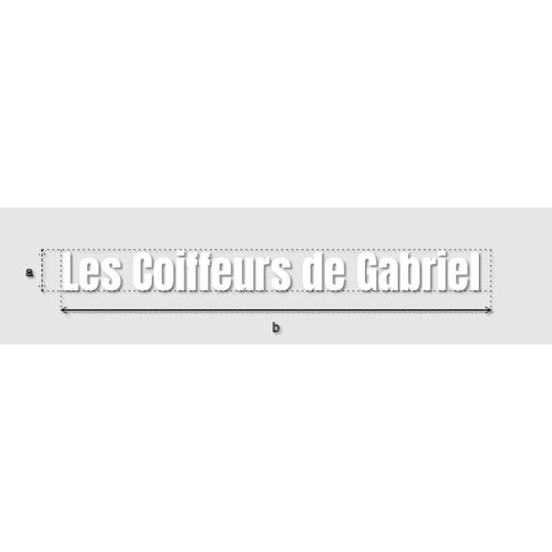 Découpe de lettres : "Les Coiffeurs de Gabriel "
