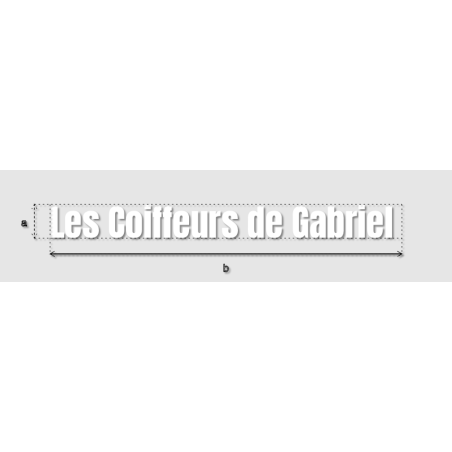 Découpe de lettres : "Les Coiffeurs de Gabriel "