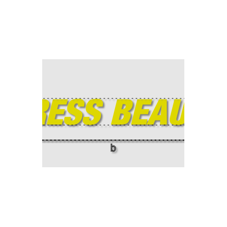 Découpe de lettres : "DRESS BEAUTY"