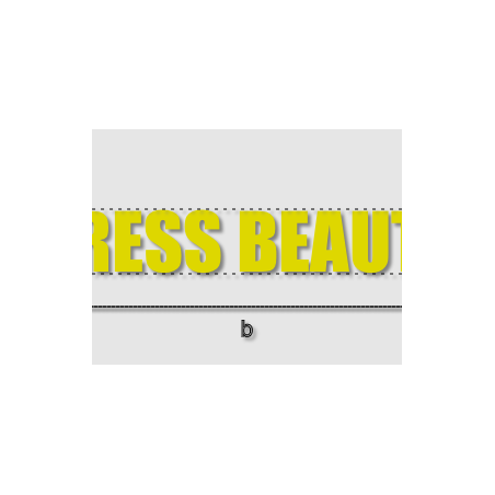 Découpe de lettres : "DRESS BEAUTY"
