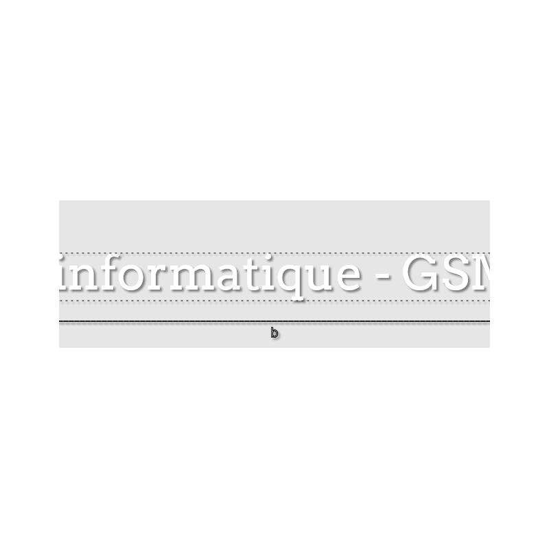 Découpe de lettres : "Services informatique - GSM & Bazar"