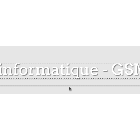 Découpe de lettres : "Services informatique - GSM & Bazar"