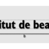 Découpe de lettres : "Institut de beauté "
