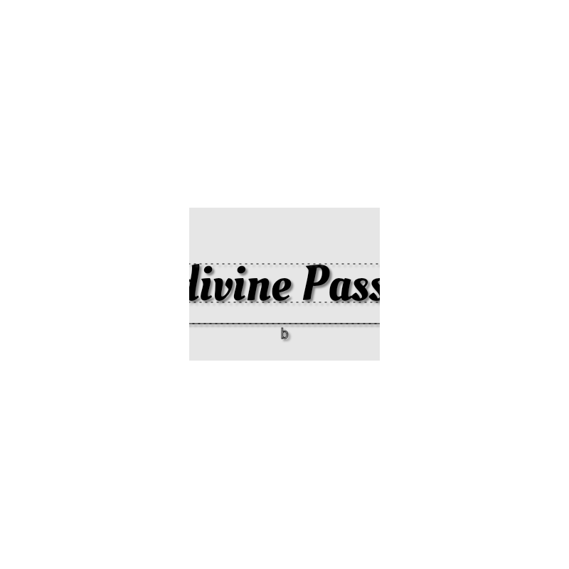 Découpe de lettres : "Ludivine Passion"