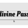 Découpe de lettres : "Ludivine Passion"