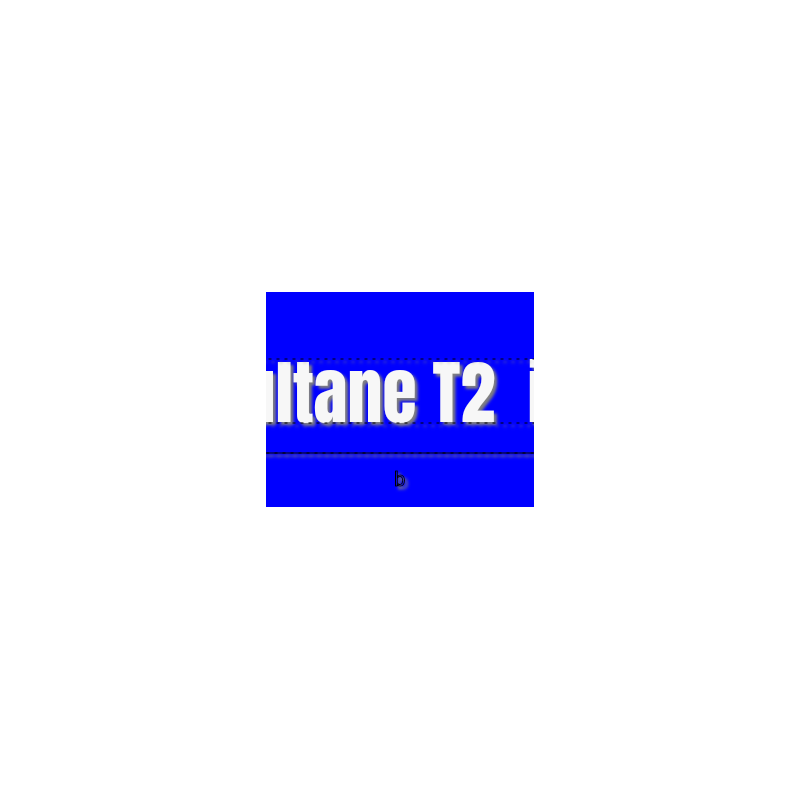Découpe de lettres : "Dar sultane T2  imm D"