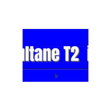 Découpe de lettres : "Dar sultane T2  imm D"
