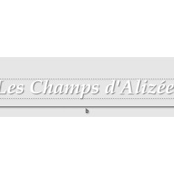 Découpe de lettres : "Les...