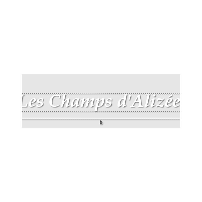 Découpe de lettres : "Les Champs d'Alizée "