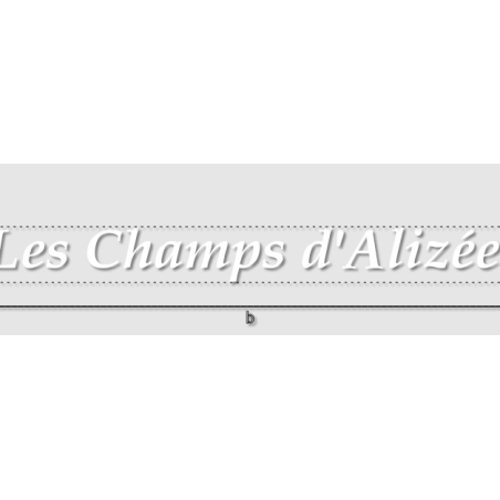 Découpe de lettres : "Les Champs d'Alizée "