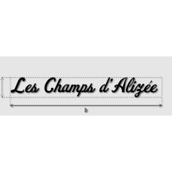 Découpe de lettres : "Les...