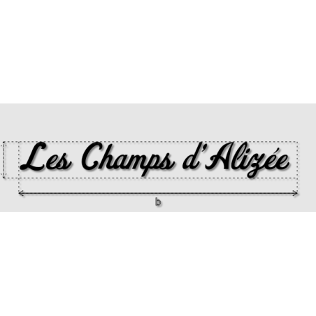 Découpe de lettres : "Les Champs d’Alizée "