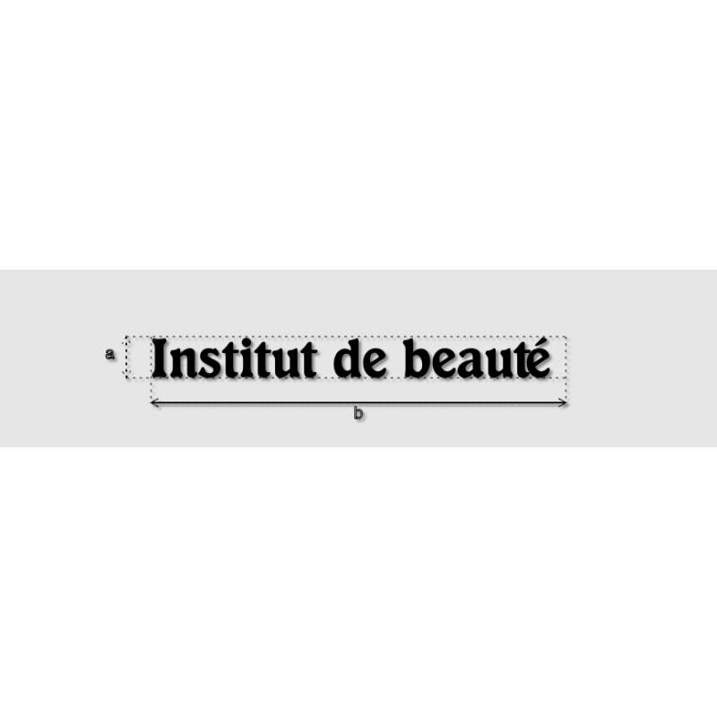 Découpe de lettres : "Institut de beauté "